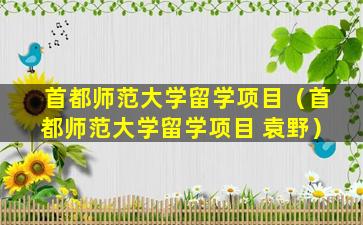 首都师范大学留学项目（首都师范大学留学项目 袁野）
